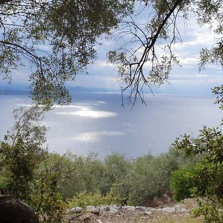 Rizes Sea View Villa Nisaki  Exterior photo